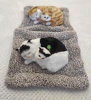 "Кошка с котенком" во Белоярском
